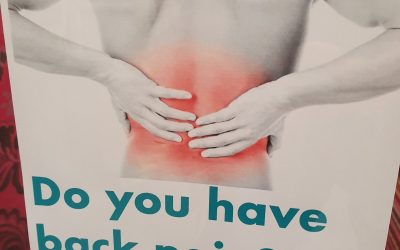 Struggling with back Pain? maybe our new trader could help
