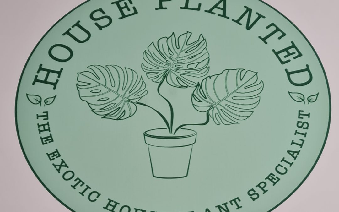 House planted